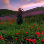 اهنگ بزنم به تخته موهات بدجوری لخته