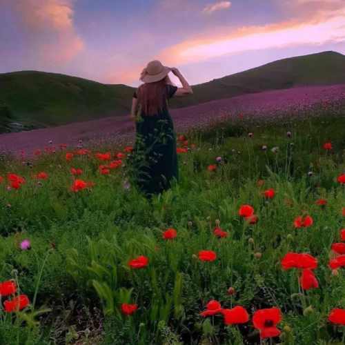 دانلود آهنگ بزنم به تخته موهات بدجوری لخته