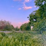 دانلود آهنگ فاطمه بهار زندگیم
