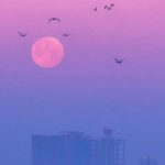 دانلود آهنگ منو به سوی ماه پرواز بده