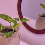 دانلود آهنگ میدونم روزای خوبی توی راهه