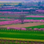 دانلود آهنگ نقاشی خدا تویی خوشگل خوشگلا تویی