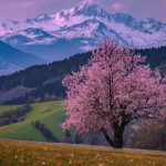 دانلود آهنگ یک خنده کن ای گل