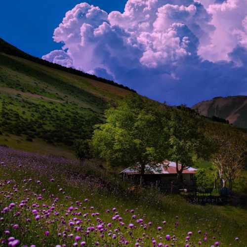دانلود آهنگ کاروان خباتی شانه به سه ر و ئامان ئامان