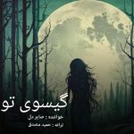 دانلود آهنگ صابر دل گیسوی تو