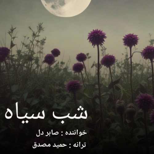 دانلود آهنگ صابر دل شب سیاه