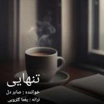 دانلود آهنگ صابر دل تنهایی