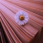 آهنگ دل من برا تو من برا تو رابطه رو شبیه اولا کن