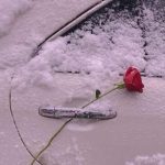 اهنگ امشبو تو عمرت نبر از یاد آهای آقای داماد