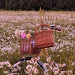 آهنگ یار گیسو مخملی قربون اون رنگ چشات