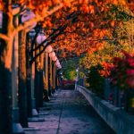 آهنگ یکی دیگه جات اومد فک کردی نمیری از یاد