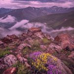 آهنگ علی دوستدار آذربایجان قیزلاری
