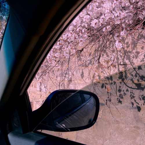 دانلود آهنگ دانیال هوشیاری بی اعتنا
