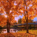 آهنگ محسن نصری رسمل خوبو