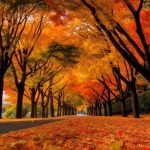 ریمیکس آهنگ آی گدی باتان یره