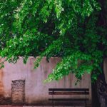 آهنگ به دیدن من بیا مهتاب در اومد
