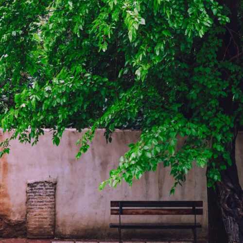 دانلود آهنگ به دیدن من بیا مهتاب در اومد