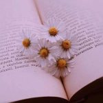 اهنگ اومدی و با چشمات دلم رو کردی غارت