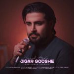 اهنگ سعید آرکا جیگر گوشه