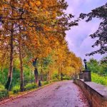 اهنگ اگه نتونم ازت دل بکنم ساعت ها نگات کنم پلک نزنم