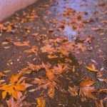 آهنگ با چشات بد به رخم میکشی دلبریتو