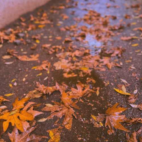 دانلود آهنگ با چشات بد به رخم میکشی دلبریتو