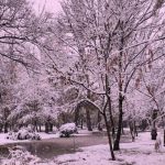 آهنگ دلی دارم چو مینای شکسته