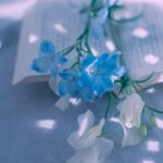 اهنگ بیا باهم بریم سفر دبی دبی