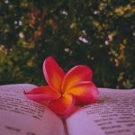 اهنگ عشقیم سن سن آی دلی جیران گوزل سنه قوربان گوزل