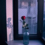 آهنگ تو لم قلبمو بلدی حریفت نمیشه احدی