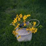 اهنگ آهویی دارم خوشگله فرار کرده ز دستم