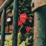 اهنگ چیکار کردی با دلم وای