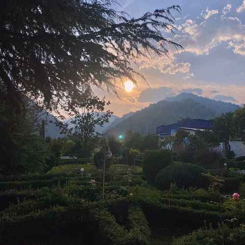 دانلود آهنگ کوه و صحرا نشو مار تره زنه