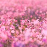 اهنگ خیلی وقته که دیگه دلت واسم تنگ نمیشه