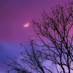 آهنگ یکی با یارش خوشه براش هی رنگی میپوشه