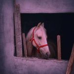 آهنگ الان توی زندانم با صدای باب اسفنجی