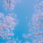 دانلود آهنگ به جز تو نمیدم هیشکیو تو قلبم راه