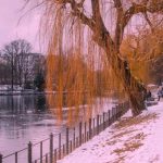 آهنگ دل بریدم از این جماعت به کنج خلوت نشسته ام