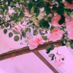 آهنگ دلبر من ابرو کمندی داری نگاه گیرای برندی داره