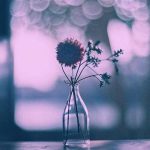 دانلود آهنگ دل تو جام بلوره رو سرت تاج غروره