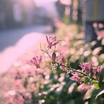 دانلود آهنگ امشب تموم عاشقا با ما میخونن یک صدا