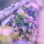اهنگ خانمی خاطر خواه داره یه صورت ماه داره