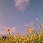 اهنگ خوشا آن روز که ما غم خواری داشتیم