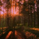 آهنگ ندونسته دلمو به غریبه سپردم