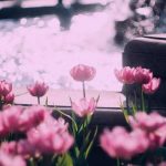 آهنگ اوزوک آلام جوت آلام هادی صریحی