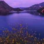 آهنگ من یک موی تو را به کل عالم ندهم