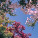 آهنگ جان و جهان علیرضا قربانی