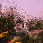 آهنگ معجزه شرقی منوچهر طاهرزاده