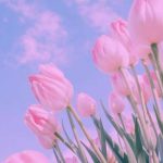 دانلود آهنگ سیام مجنون