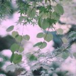 آهنگ آی ملییم اورییم سنی من سویرم آکانای